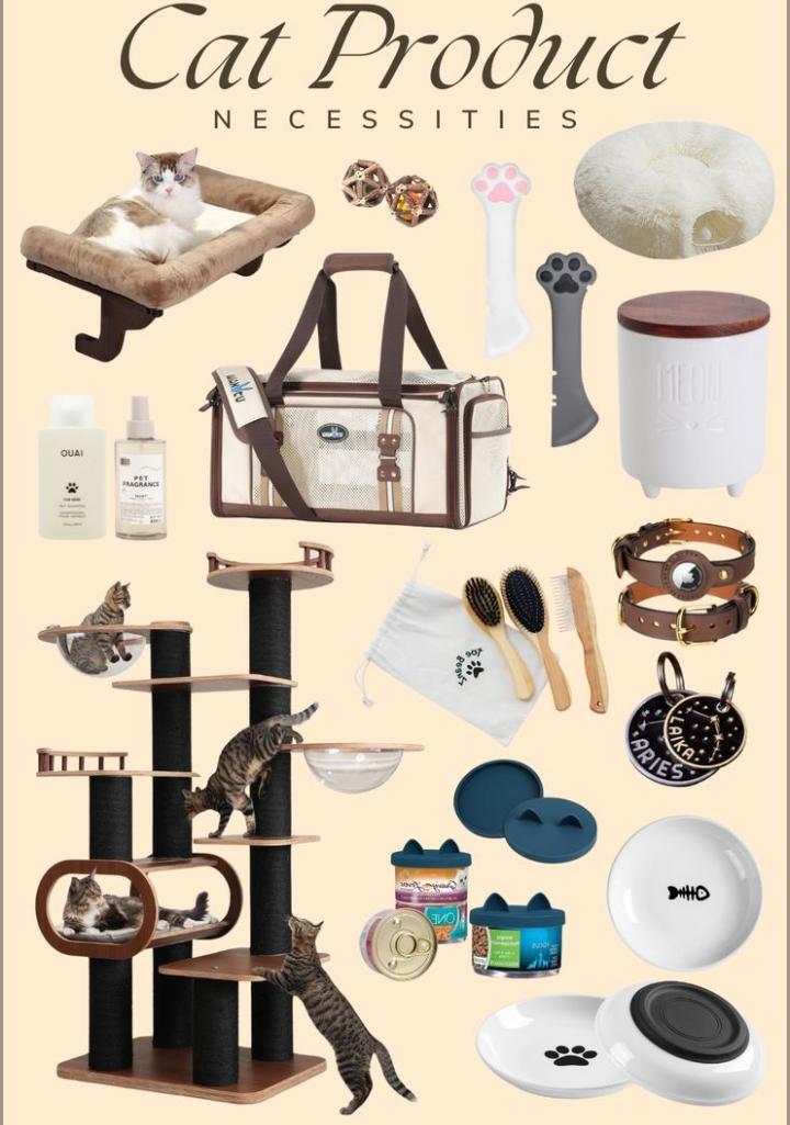 Cat accessories